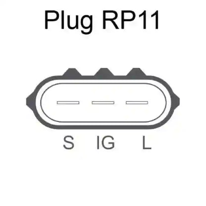 Diagram of a Plug RP11 with labeled terminals S, IG, and L on a white background.