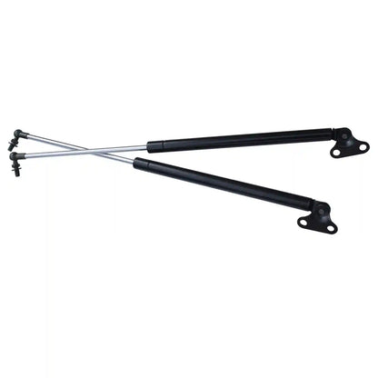 Tailgate Struts on a white background