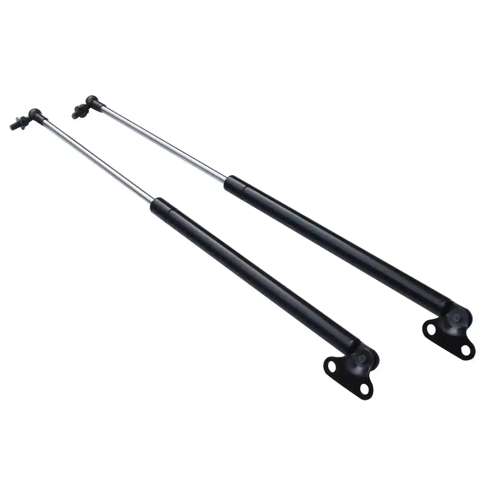 Tailgate Struts on a white background