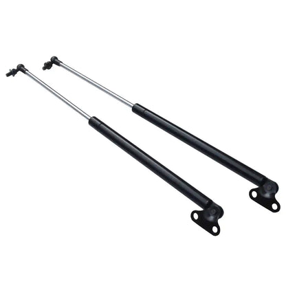 Tailgate Struts on a white background