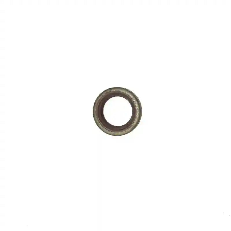 O-ring on a white background