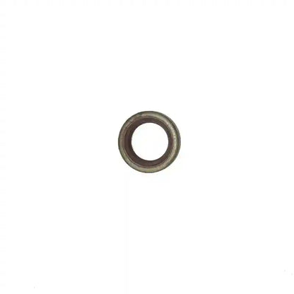 O-ring on a white background